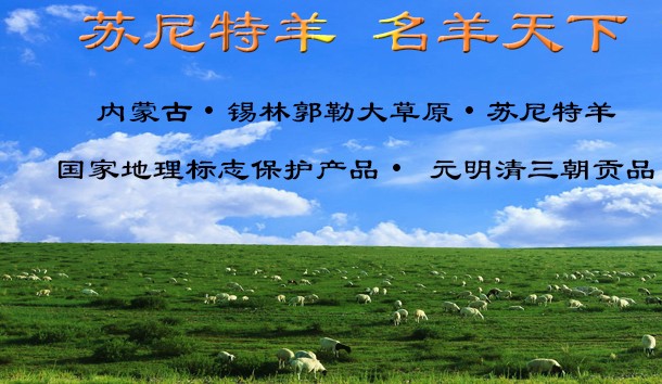 看地理标志产品苏尼特羊肉如何投放广告宣传打造品牌