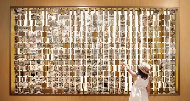 宠物社区榜旋转墙