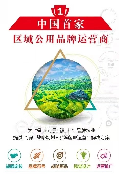营销策划行业趋势解读：如何抓住电商时代的流量红利