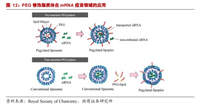 键凯科技 Peg的票能否搭上mrna疫苗的船 财富号 东方财富网
