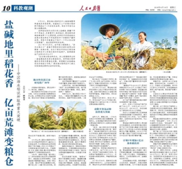 2019年9月,内蒙古兴安盟1000亩盐碱地水稻基地完成试种测产,以亩产