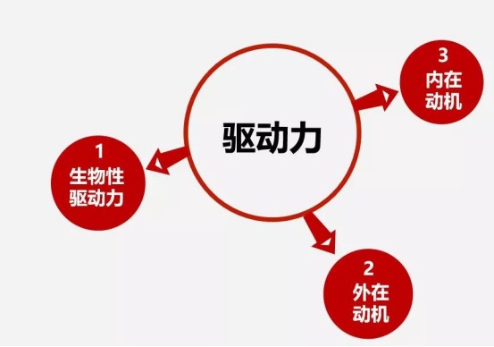 妙拯心如何调动孩子的内驱力