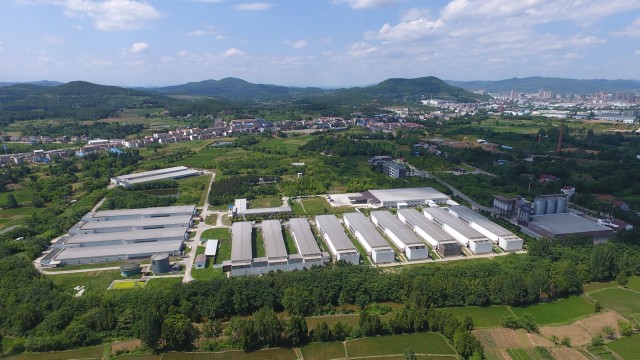 圣迪乐中国最美养鸡场是如何炼成的