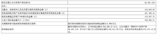 30天9涨停 妖股遭证监会立案调查！13次延期回复交易所问询 董事也急了