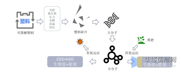 2020年中国可降解塑料市场现状市场替代空间巨大行业前景广阔