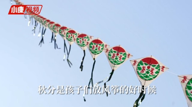 风筝类别有王字,鲢鱼等,大的有两米高,小的也有二,三尺.