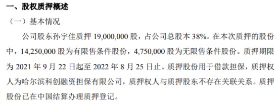 通普股份股东孙宇佳质押1900万股用于借款担保