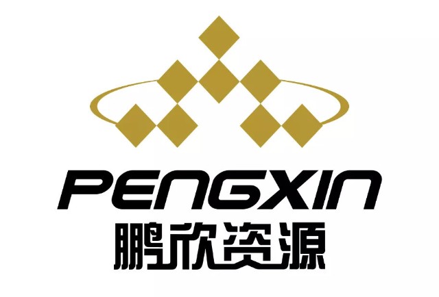 资料显示,鹏欣环球资源股份有限公司前身为2003年6月上市的"中科合臣"