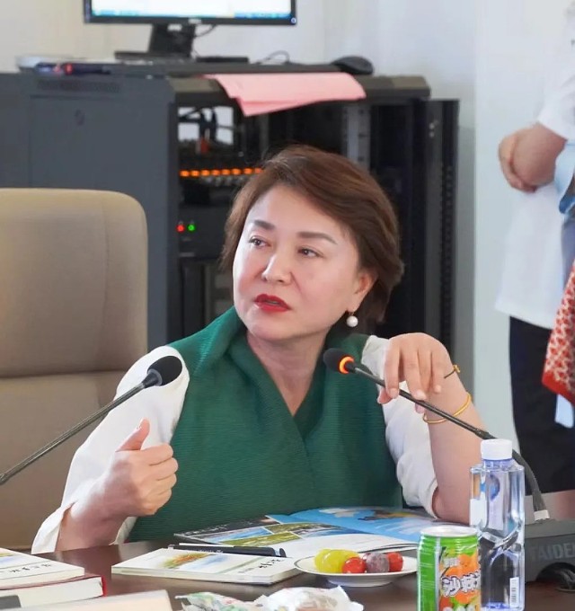 上海丽业光电科技有限公司董事长王丽萍,上海建攀科技集团有限公司