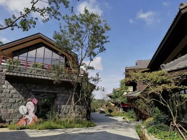 阿朵小镇惊艳面世融创文旅扩容产品库诠释运营体系创新