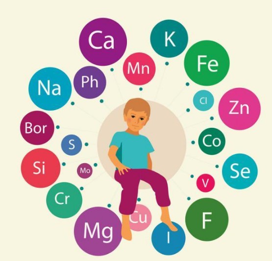 百马广力矿物质饮料为身体补给矿物质元素告别亚健康
