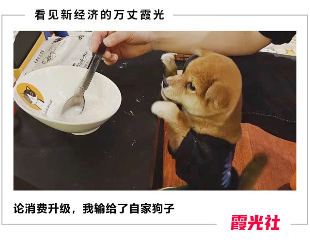 这届年轻人，养宠物比养自己用心