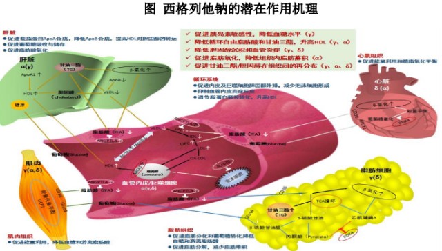 2019年清华北大自主招生简章解读 4大变化 3大趋势 竞赛