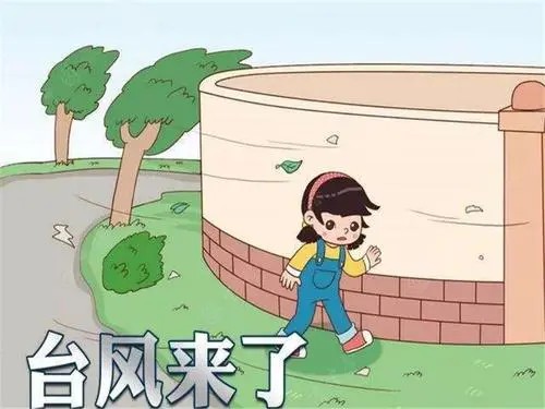 台风圆规在厦门画圈遭遇台风应急处理要知道