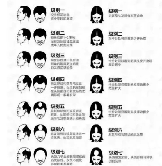 “秃如其来”背后，雍禾医疗IPO引发行业混战？