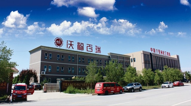 沃福百瑞枸杞终端市场需求不断扩大打造宁夏枸杞产业的领军企业