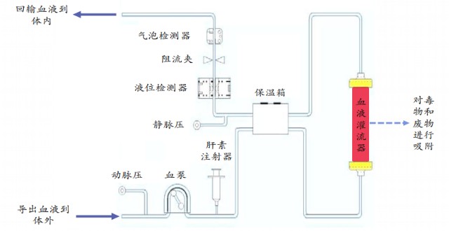 第三十期健帆生物造福尿毒症患者的血液灌流龙头
