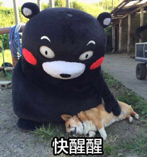 格局,上证指数还是涨一天跌一天,按规律,明天又该上涨了,老乡们快醒醒