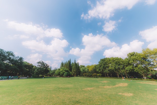 摄图网_500119019_banner_蓝天白云树木草地枝繁叶茂（非企业商用）.jpg