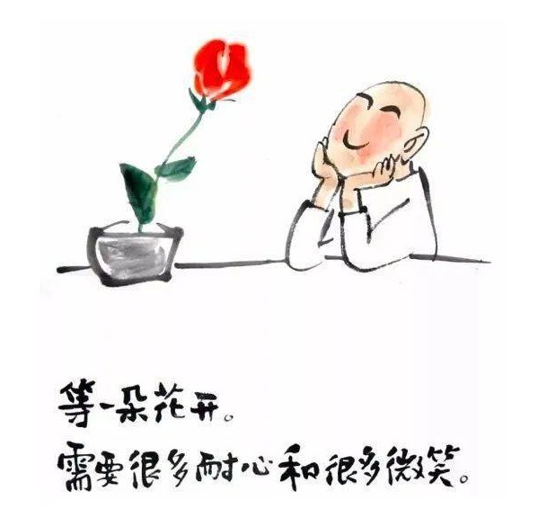 表面连连下跌实则暗流涌动静等花开要耐心