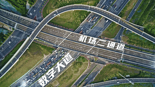 南京机场二通道东善桥图片