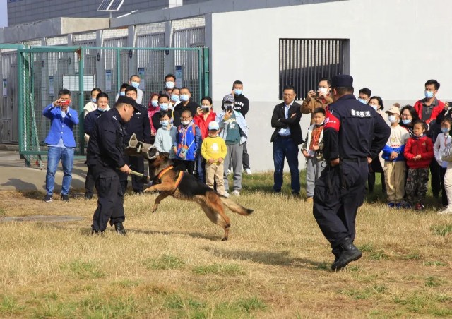 青版财经小记者参观警犬训练基地
