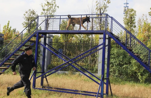 青版财经小记者参观警犬训练基地