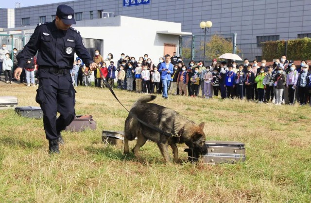 青版财经小记者参观警犬训练基地