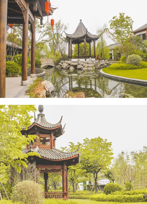 翼天文旅集团一叶知秋客都人家秋天的第一波美图谁看谁心动