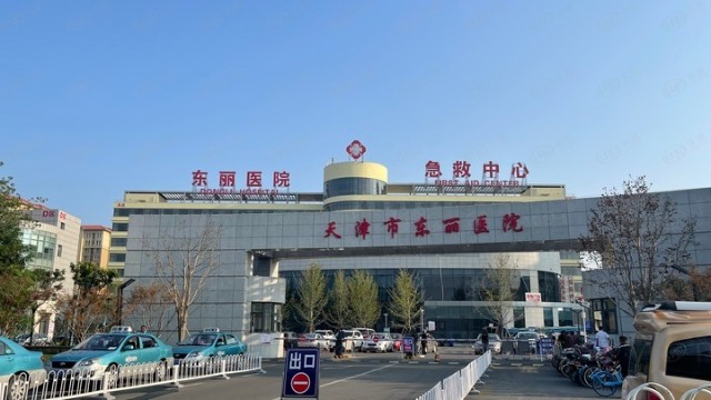 东丽区军粮城蔷薇国际图片