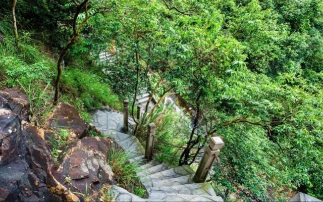 廣東東莞觀音山一家民營國家森林公園的喜與憂