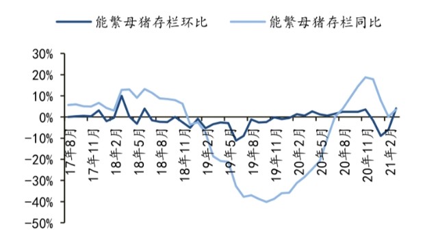 生豬養殖產業鏈能繁母豬生豬存欄生豬出欄數據專業版報告庫