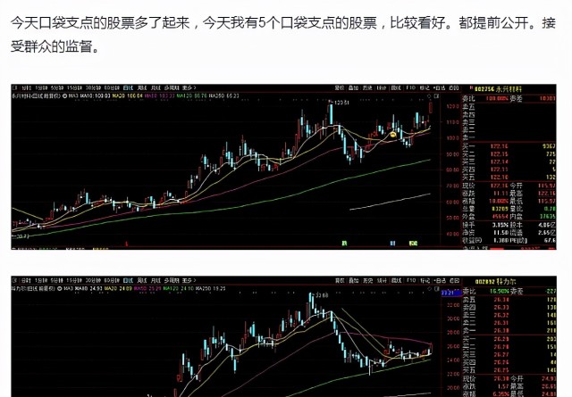口袋支点 机器学习 AI识图大获全胜