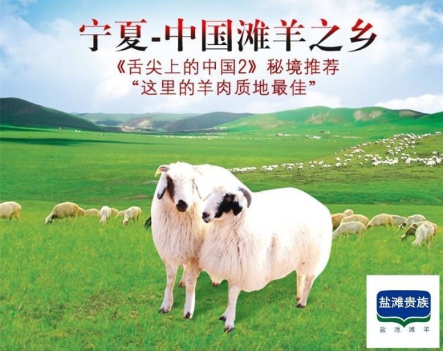 盐滩贵族盐池滩羊中国盐池滩羊领导品牌