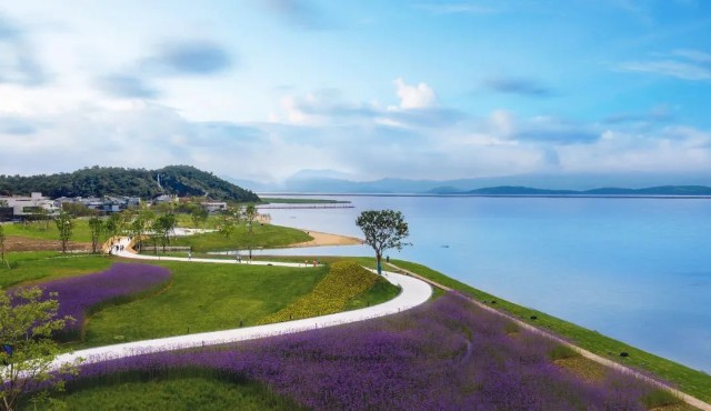 在长三角核心宁波湾新区聚焦新发展格局下的文旅风口