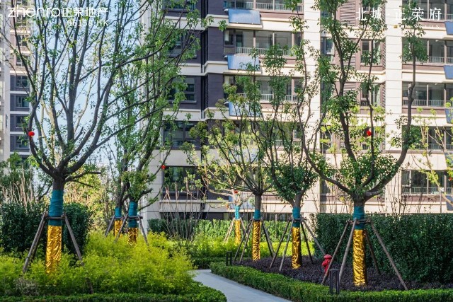 让爱回家丨合肥北城正荣府一期幸福启航执笔美好生活