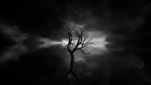 黎明前的黑暗尤为漫长