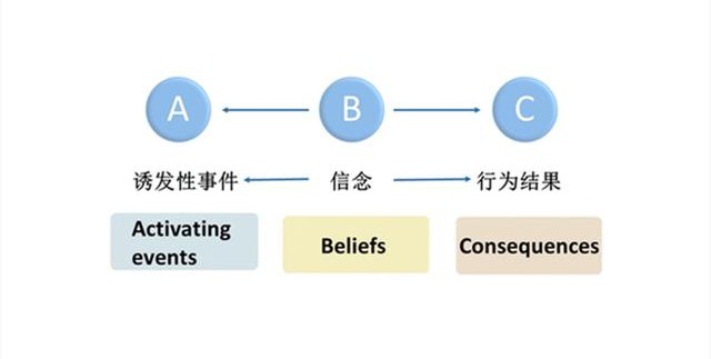 abc理论图示图片