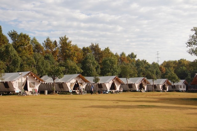 观察| 嘿,你是"露营真香党"吗?