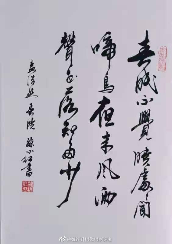 著名书法家孙小红优秀作品集展示