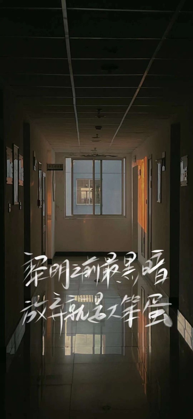 黎明之前最黑暗放弃就是大笨蛋