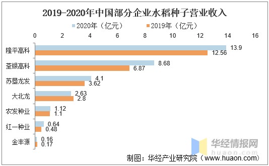 籼型杂交水稻产量图片