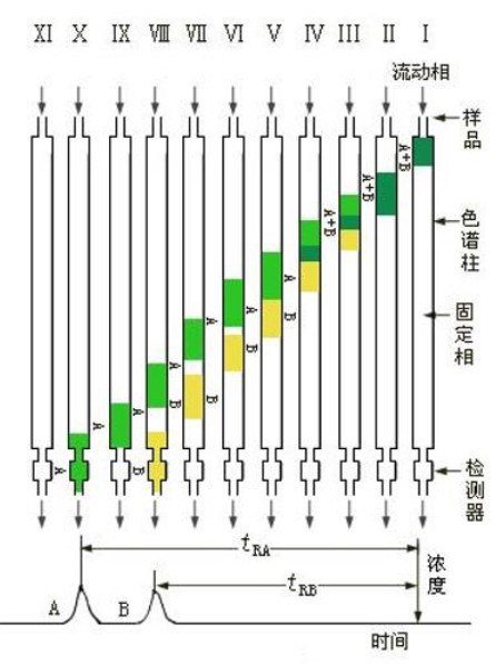 分配柱色谱图片