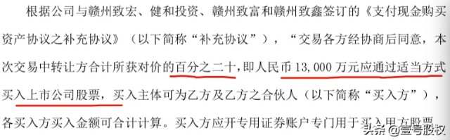 2021年涨幅最大的十只股票，上涨的原因是什么？