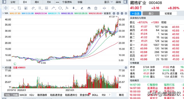2021年涨幅最大的十只股票，上涨的原因是什么？