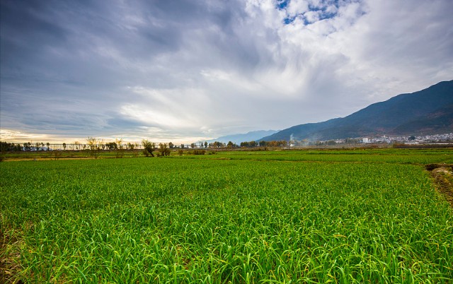 中国股市：明日“重点关注”这五大板块（附名单）建议收藏