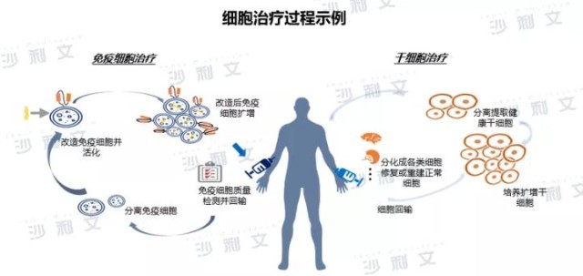 检验检疫技术中心改革：未来之路何方？