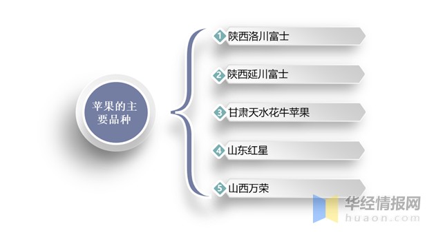 2020年中国苹果种植面积、产量、需求量及可持续发展建议分析