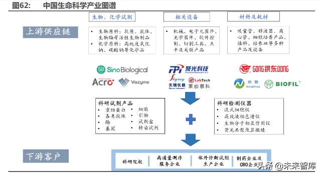 医药行业深度研究及2022年度策略：全面拥抱新成长机遇