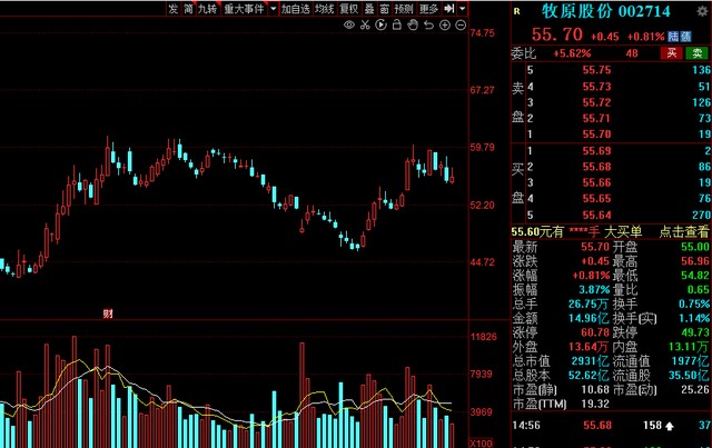 A股：北上资金本周增仓名单一览！6股获“聪明资金”抢筹超10亿